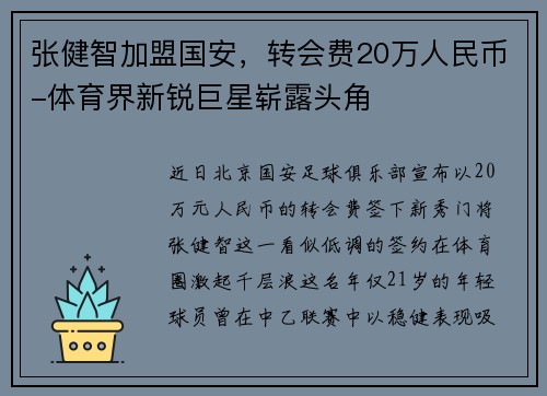 张健智加盟国安，转会费20万人民币-体育界新锐巨星崭露头角